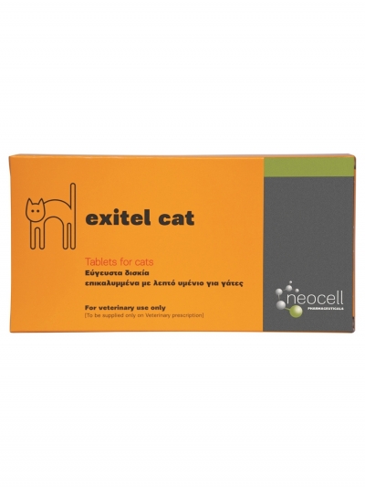 Exitel Cat